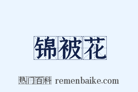 锦被花是什么意思的图片